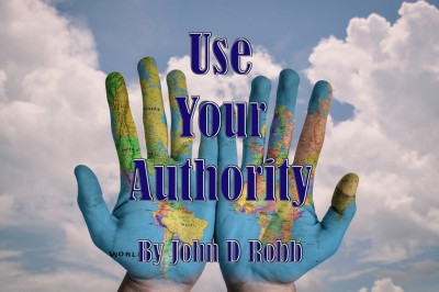 Editorial: Use Your Authority – John Robb